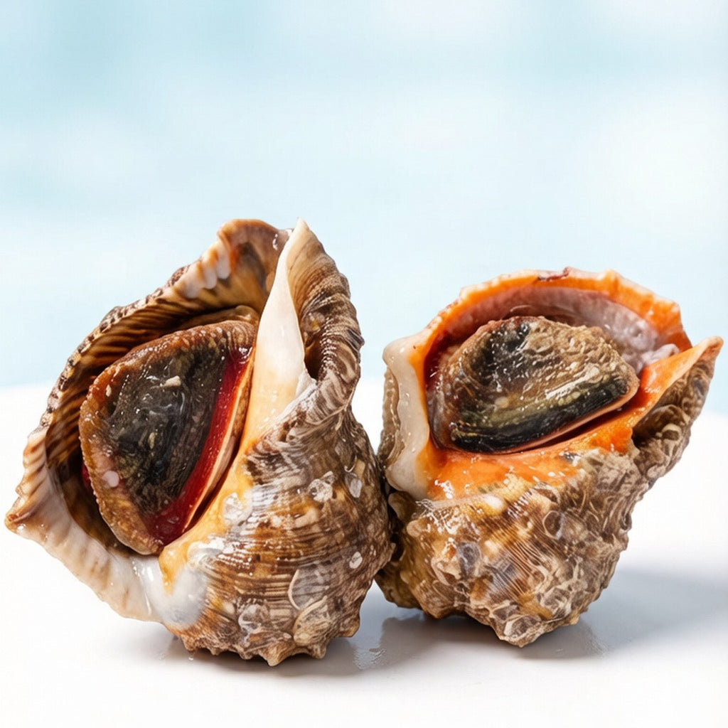 Two whole sea conch standing on a white surface